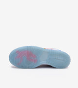 Nike Dunk Low Union Passport Pack Argon